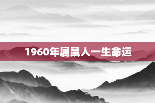 1960年属鼠人一生命运