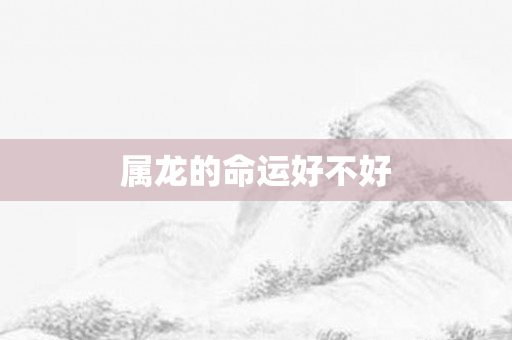 属龙的命运好不好