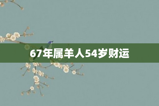 67年属羊人54岁财运