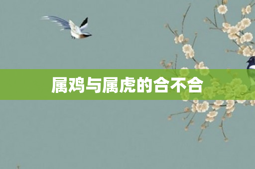 属鸡与属虎的合不合