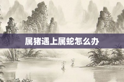 属猪遇上属蛇怎么办