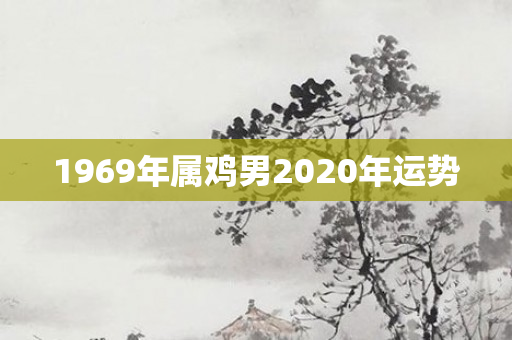 1969年属鸡男2020年运势