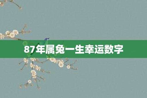 87年属兔一生幸运数字