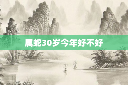 属蛇30岁今年好不好