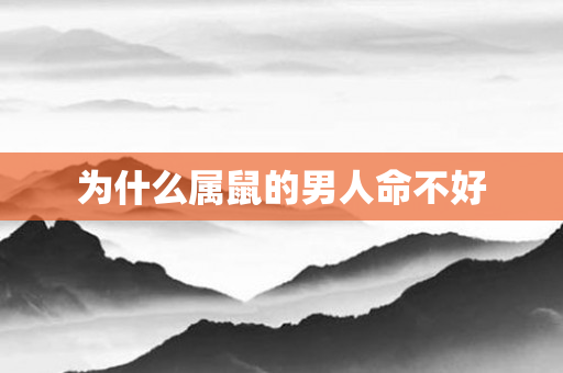 为什么属鼠的男人命不好