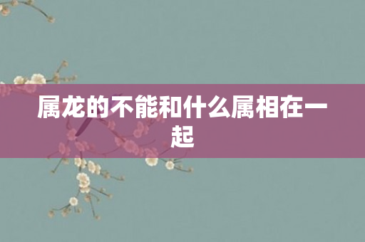 属龙的不能和什么属相在一起