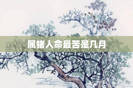 属猪人命最苦是几月
