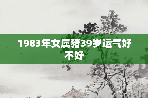 1983年女属猪39岁运气好不好