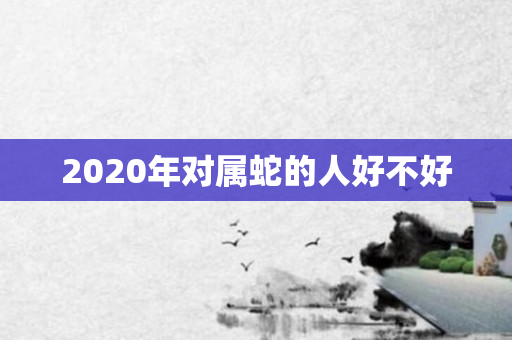2020年对属蛇的人好不好