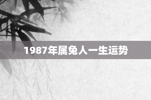 1987年属兔人一生运势