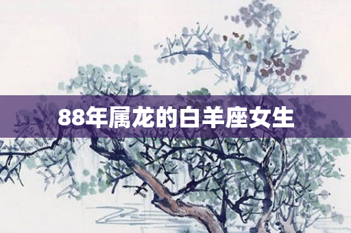 88年属龙的白羊座女生