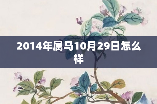 2014年属马10月29日怎么样