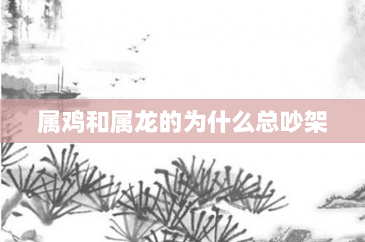 属鸡和属龙的为什么总吵架