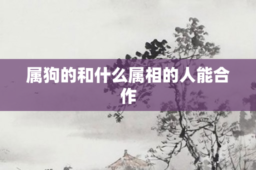 属狗的和什么属相的人能合作