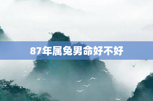 87年属兔男命好不好