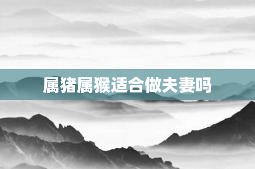 属猪属猴适合做夫妻吗