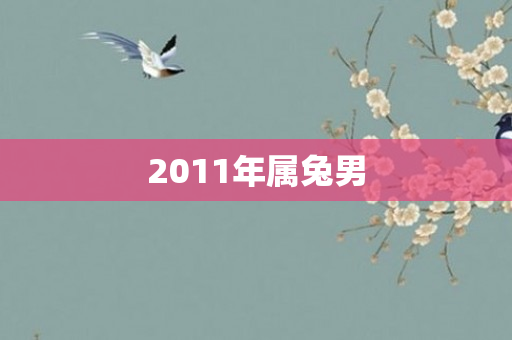 2011年属兔男