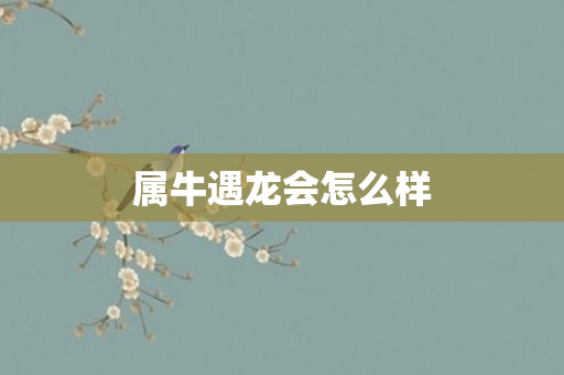 属牛遇龙会怎么样