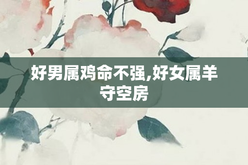 好男属鸡命不强,好女属羊守空房