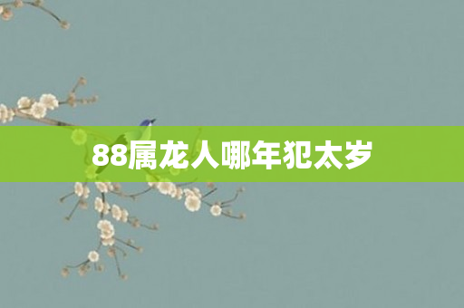 88属龙人哪年犯太岁