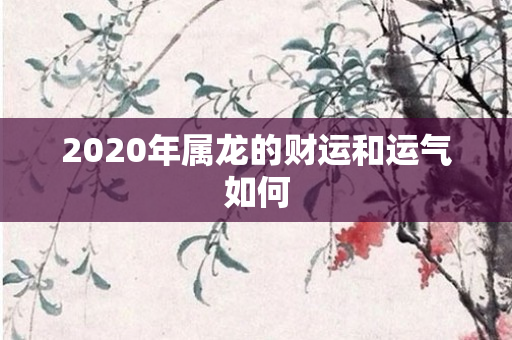 2020年属龙的财运和运气如何
