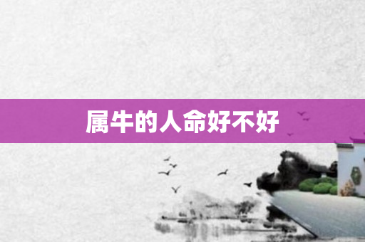 属牛的人命好不好