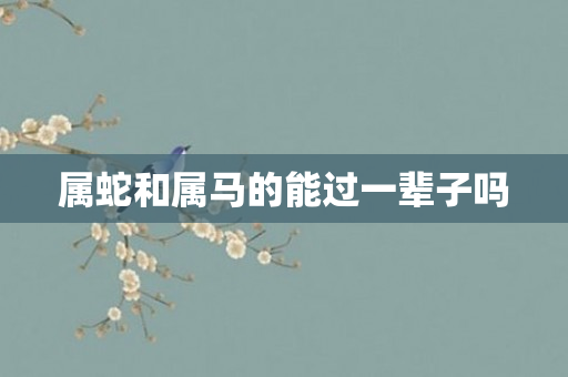 属蛇和属马的能过一辈子吗