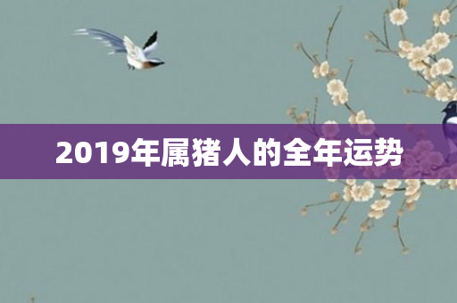 2019年属猪人的全年运势