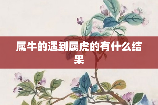 属牛的遇到属虎的有什么结果