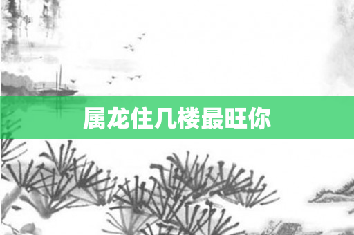 属龙住几楼最旺你