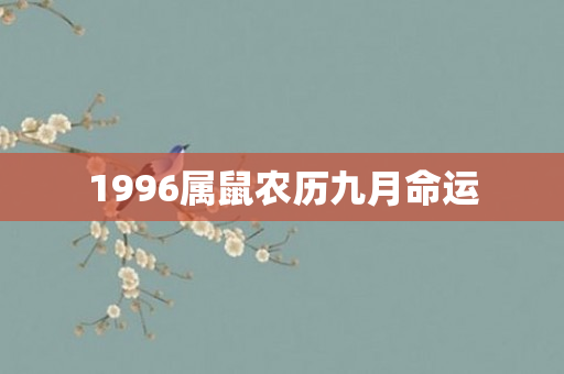 1996属鼠农历九月命运