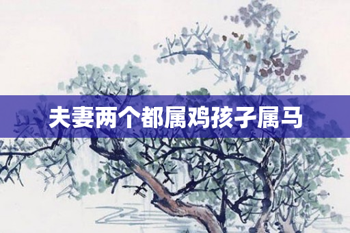 夫妻两个都属鸡孩孑属马