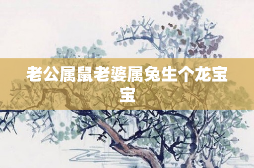 老公属鼠老婆属兔生个龙宝宝