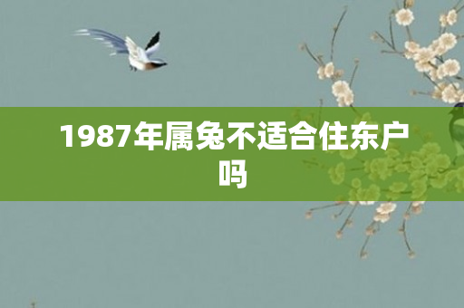 1987年属兔不适合住东户吗