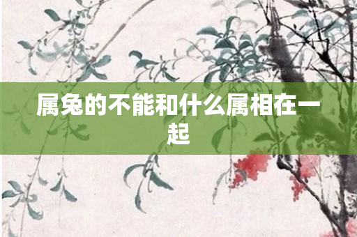 属兔的不能和什么属相在一起