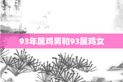 93年属鸡男和93属鸡女