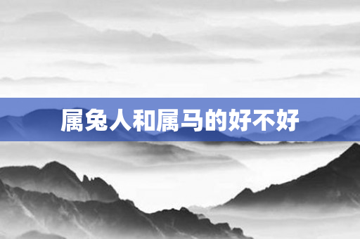 属兔人和属马的好不好