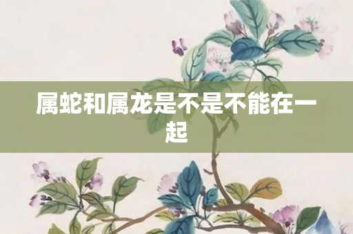 属蛇和属龙是不是不能在一起