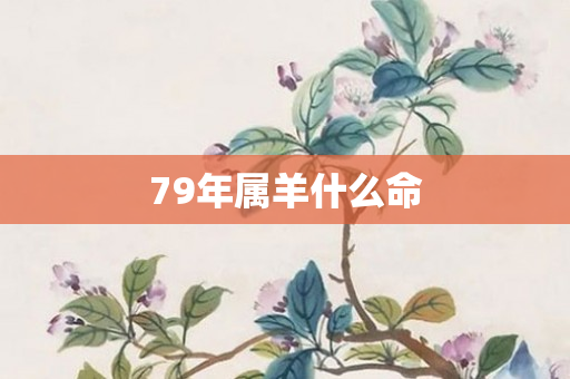 79年属羊什么命