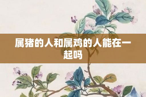 属猪的人和属鸡的人能在一起吗