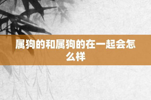 属狗的和属狗的在一起会怎么样