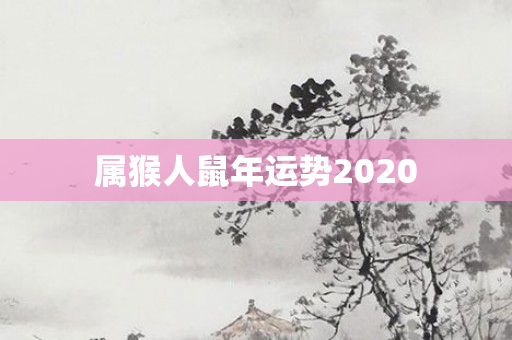 属猴人鼠年运势2020