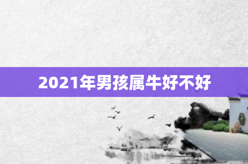 2021年男孩属牛好不好