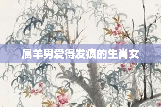 属羊男爱得发疯的生肖女