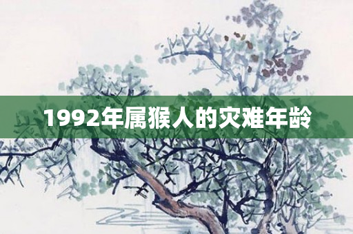 1992年属猴人的灾难年龄