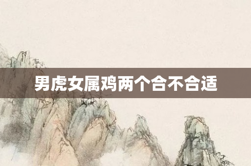 男虎女属鸡两个合不合适