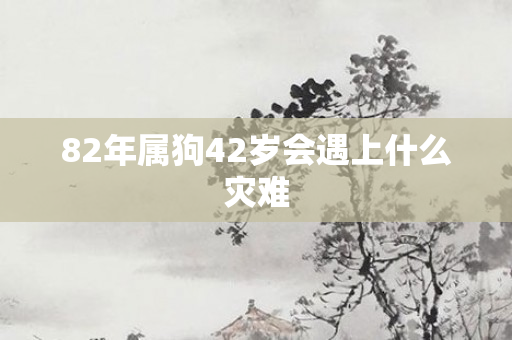 82年属狗42岁会遇上什么灾难
