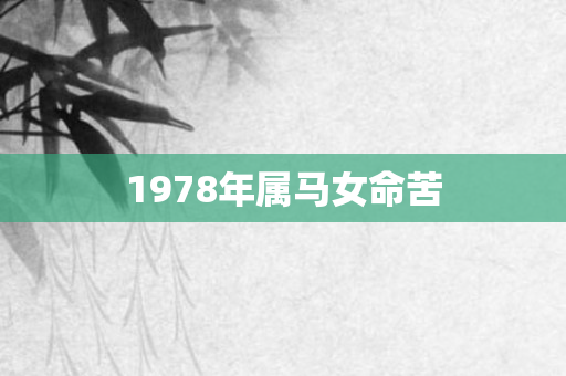 1978年属马女命苦