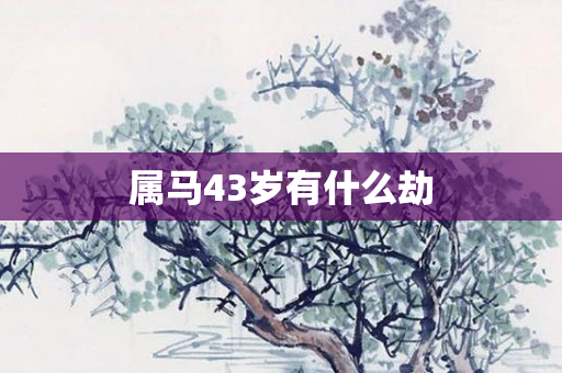 属马43岁有什么劫