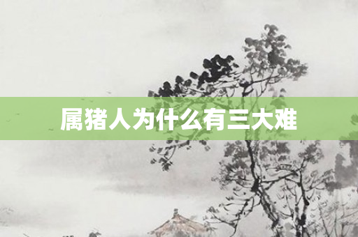 属猪人为什么有三大难